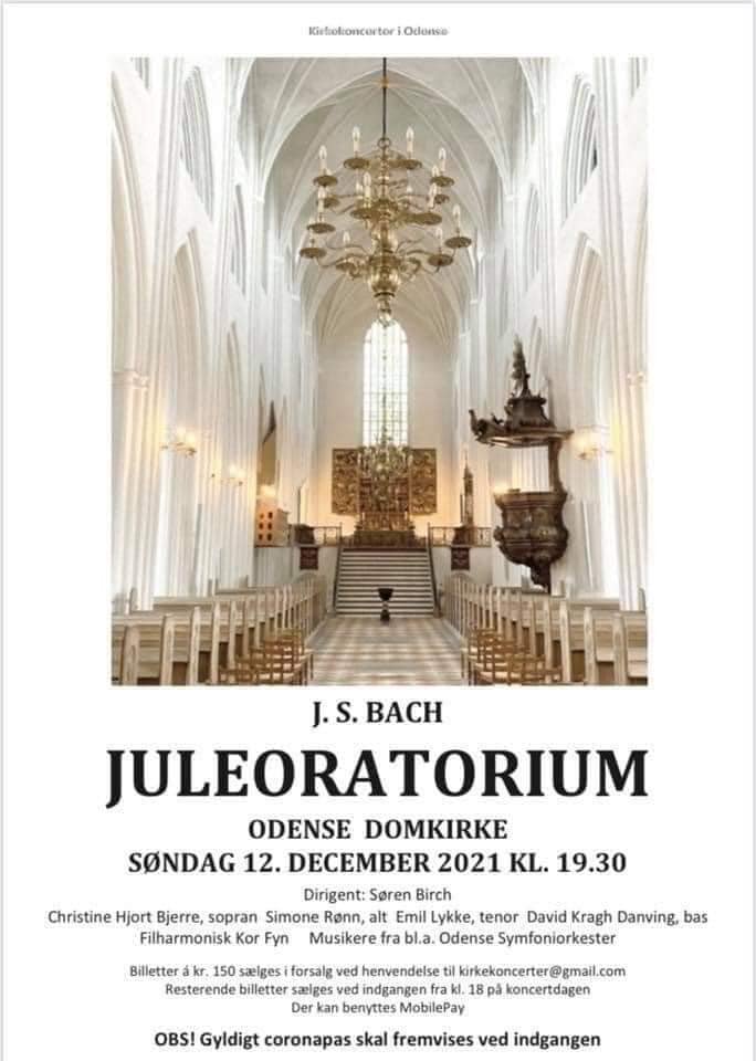 Impressions from my concert activity in Denmark